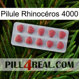 Pilule Rhinocéros 4000 18